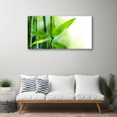 Obraz Canvas Bambus Liść Roślina Przyroda