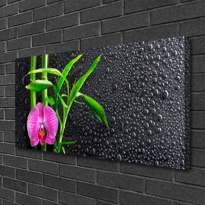 Obraz Canvas Bambus Kwiat Krople