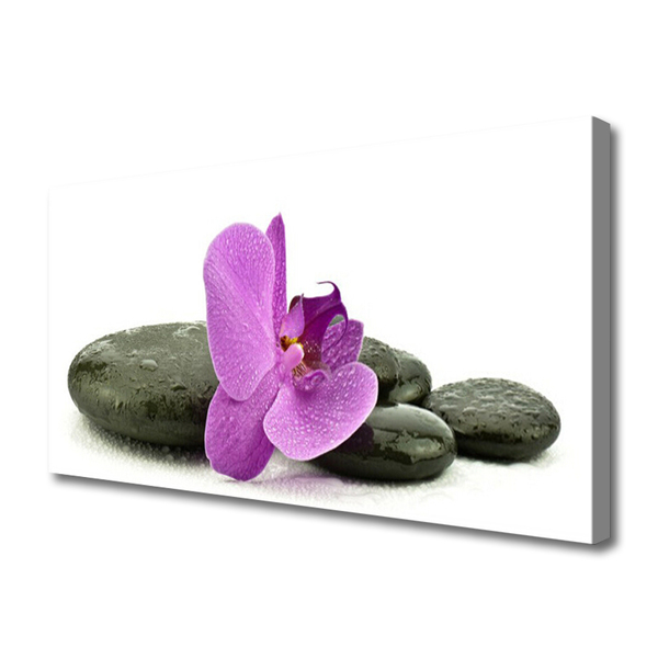Obraz Canvas Kwiat Orchidea Storczyk