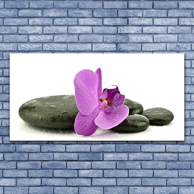Obraz Canvas Kwiat Orchidea Storczyk