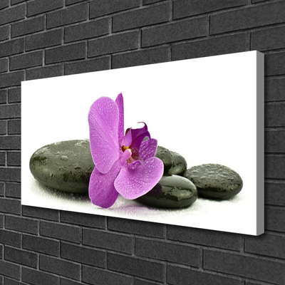 Obraz canvas Królewska Orchidea w Detalu