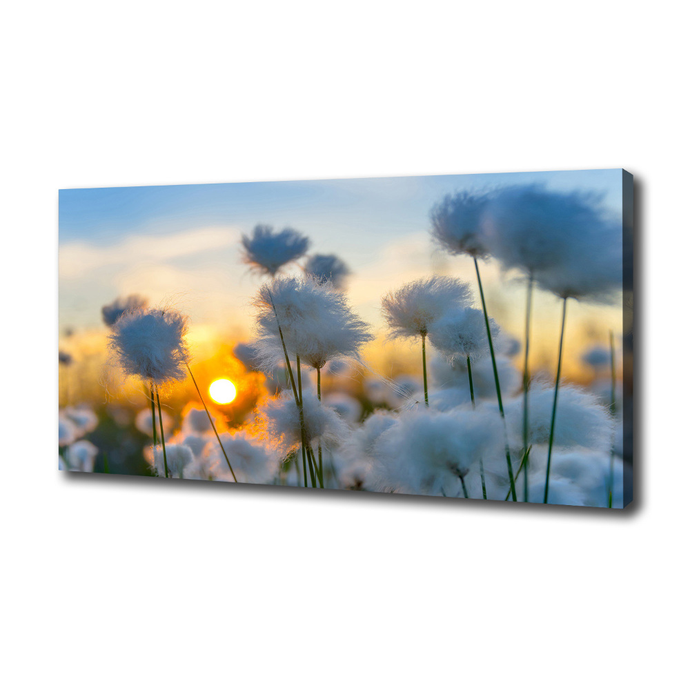 Obraz Canvas Kwiaty Roślina Natura