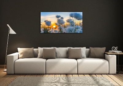 Obraz Canvas Kwiaty Roślina Natura