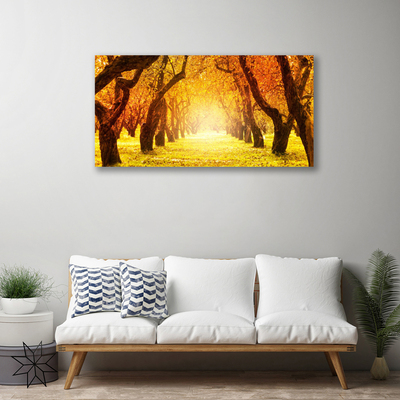 Obraz Canvas Las Ścieżka Drzewa Natura