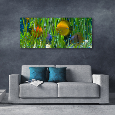 Obraz Canvas Ryba Wodorosty Przyroda