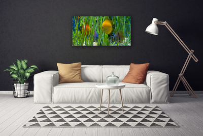 Obraz canvas Podwodny Świat Oceanu