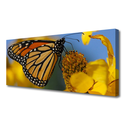 Obraz Canvas Motyl Kwiat Przyroda