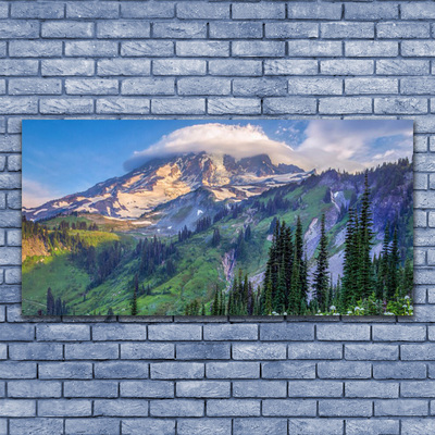 Obraz canvas na ścianę Panorama Górskiego Boru