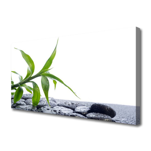 Obraz canvas na ścianę Harmonijne Połączenie Liści i Kamieni