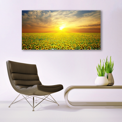 Obraz Canvas Słońce Łąka Słoneczniki