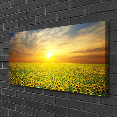 Obraz Canvas Słońce Łąka Słoneczniki
