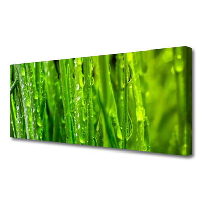 Obraz canvas Naturalna Tekstura Zielonej Trawy