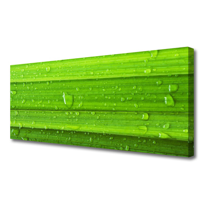 Obraz canvas Soczysta Zieleń Polany