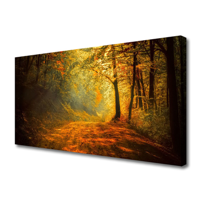 Fotoobraz na płótnie Leśna Ścieżka w Słońcu