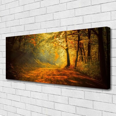 Fotoobraz na płótnie Leśna Ścieżka w Słońcu