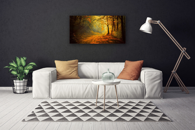 Fotoobraz na płótnie Leśna Ścieżka w Słońcu