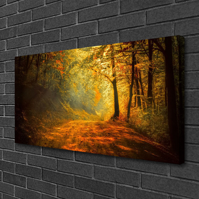 Fotoobraz na płótnie Leśna Ścieżka w Słońcu