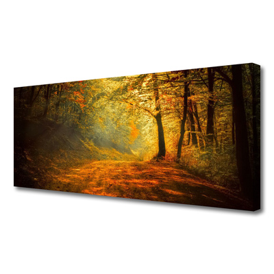 Fotoobraz na płótnie Leśna Ścieżka w Słońcu