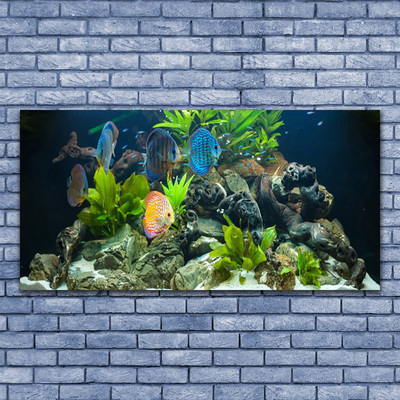 Obraz Canvas Ryba Akwarium Natura