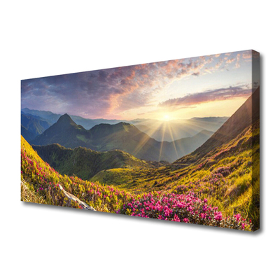 Obraz drukowany na płótnie Słoneczna Polana pod Szczytami