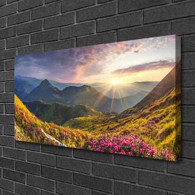 Obraz drukowany na płótnie Słoneczna Polana pod Szczytami