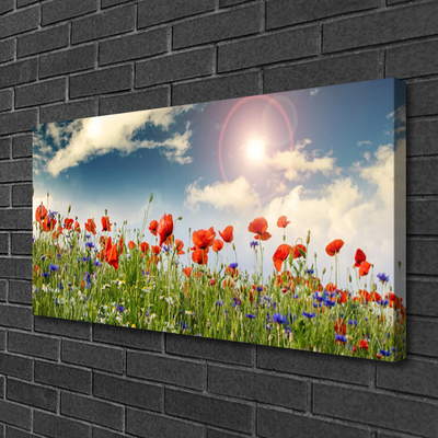 Obraz Canvas Łąka Kwiaty Słońce Natura
