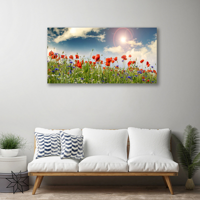 Obraz Canvas Łąka Kwiaty Słońce Natura