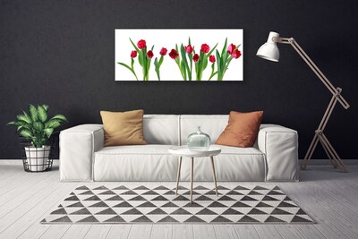 Obraz Canvas Tulipany Kwiaty Roślina