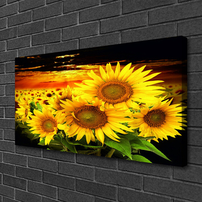 Obraz Canvas Słonecznik Kwiat Roślina