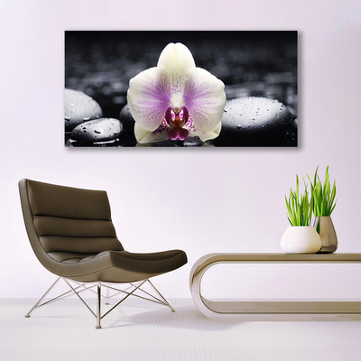 Obraz Canvas Kwiat Orchidea Roślina