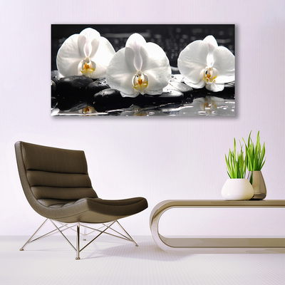 Obraz Canvas Kwiat Biała Orchidea