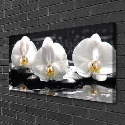 Obraz Canvas Kwiat Biała Orchidea