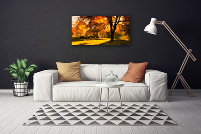 Obraz canvas Złota Jesień w Lesie