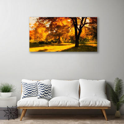 Obraz Canvas Drzewa Jesień Przyroda