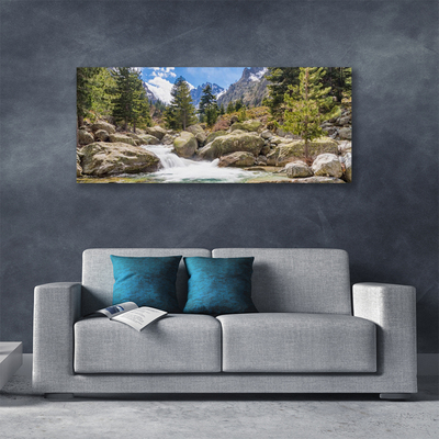 Obraz Canvas Góra Las Kamienie Rzeka