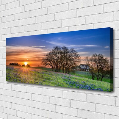 Obraz canvas Słoneczna Polana o Poranku