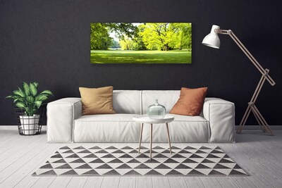 Obraz canvas Parkowa Aleja w Słońcu