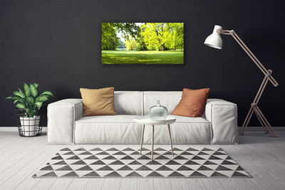 Obraz canvas Parkowa Aleja w Słońcu