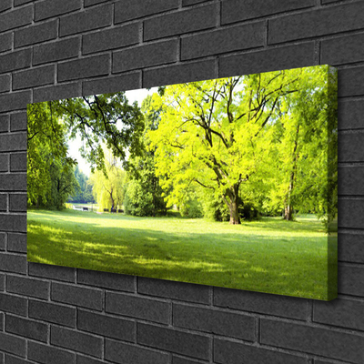 Obraz canvas Parkowa Aleja w Słońcu