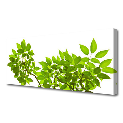 Obraz canvas Botaniczny Detal Roślinny