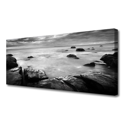 Obraz canvas Surowy Brzeg Oceanu