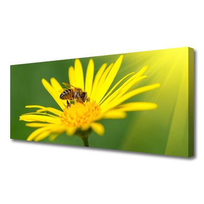 Obraz Canvas Pszczoła Kwiat Przyroda