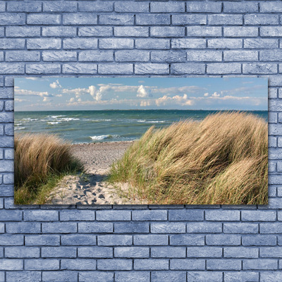 Obraz Canvas Plaża Morze Trawa Krajobraz