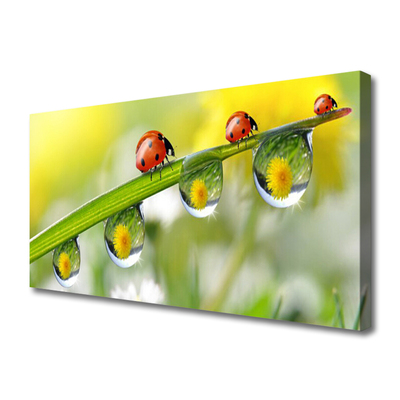 Obraz canvas na ścianę Biedronka na Zielonym Liściu
