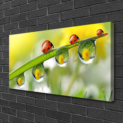 Obraz canvas na ścianę Biedronka na Zielonym Liściu