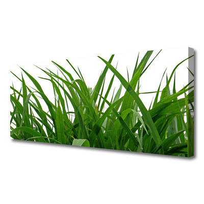 Obraz canvas na ścianę Świeżość Naturalnej Trawy