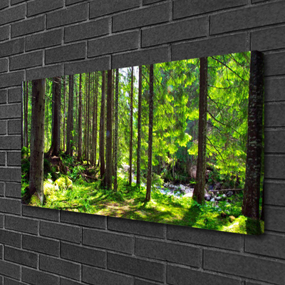 Obraz drukowany na płótnie Gęstwina Leśnej Natury