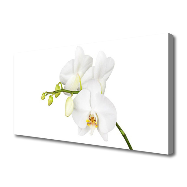 Obraz canvas Egzotyczna Elegancja Orchidei