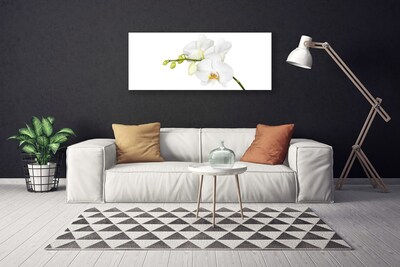 Obraz canvas Egzotyczna Elegancja Orchidei