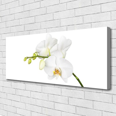 Obraz canvas Egzotyczna Elegancja Orchidei